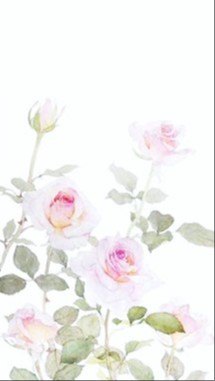Divine Feminine Community